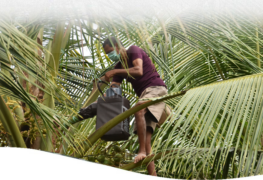 Neera - in bangalore