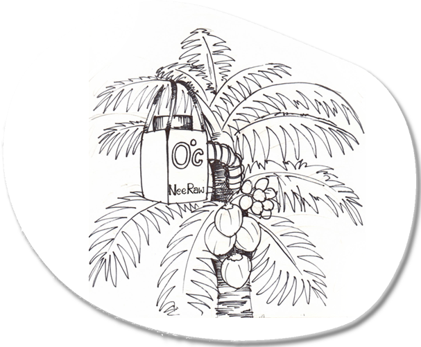 Neera in Chandalayout