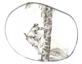 Neera in St.Marks Road